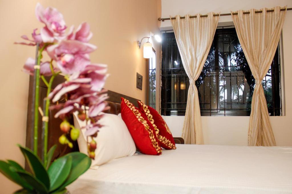 קולבה Carolina Guesthouse מראה חיצוני תמונה